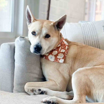 Poppy Bandana