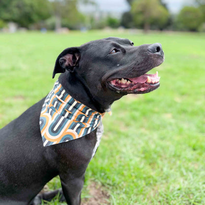 Retro Bandana